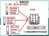 4.2.2 消化和吸收（精编课件+练习）精编七年级生物下册同步备课系列（人教版）