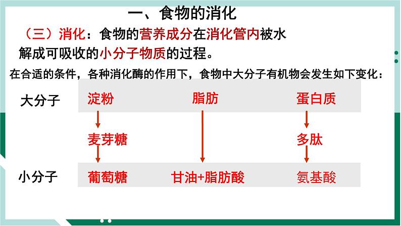4.2.2 消化和吸收（精编课件+练习）精编七年级生物下册同步备课系列（人教版）06