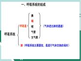 4.3.1 呼吸道对空气的处理（精编课件+练习）精编七年级生物下册同步备课系列（人教版）