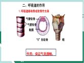 4.3.1 呼吸道对空气的处理（精编课件+练习）精编七年级生物下册同步备课系列（人教版）