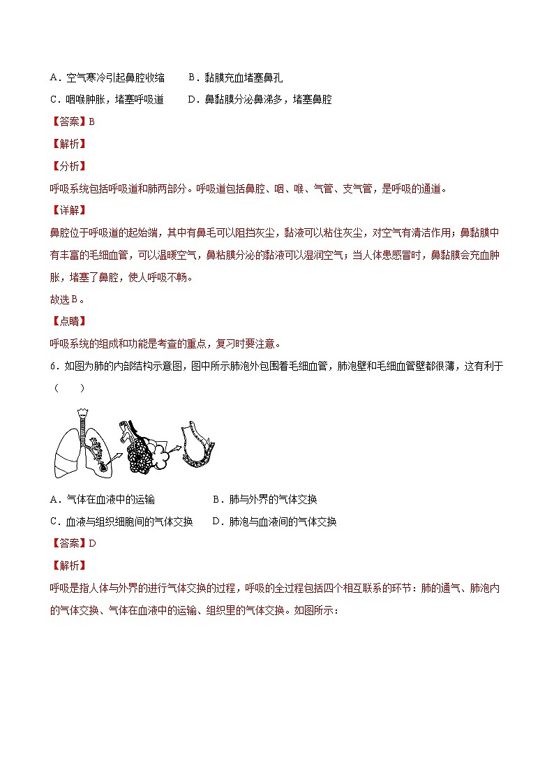 4.3.1 呼吸道对空气的处理（精编课件+练习）精编七年级生物下册同步备课系列（人教版）03
