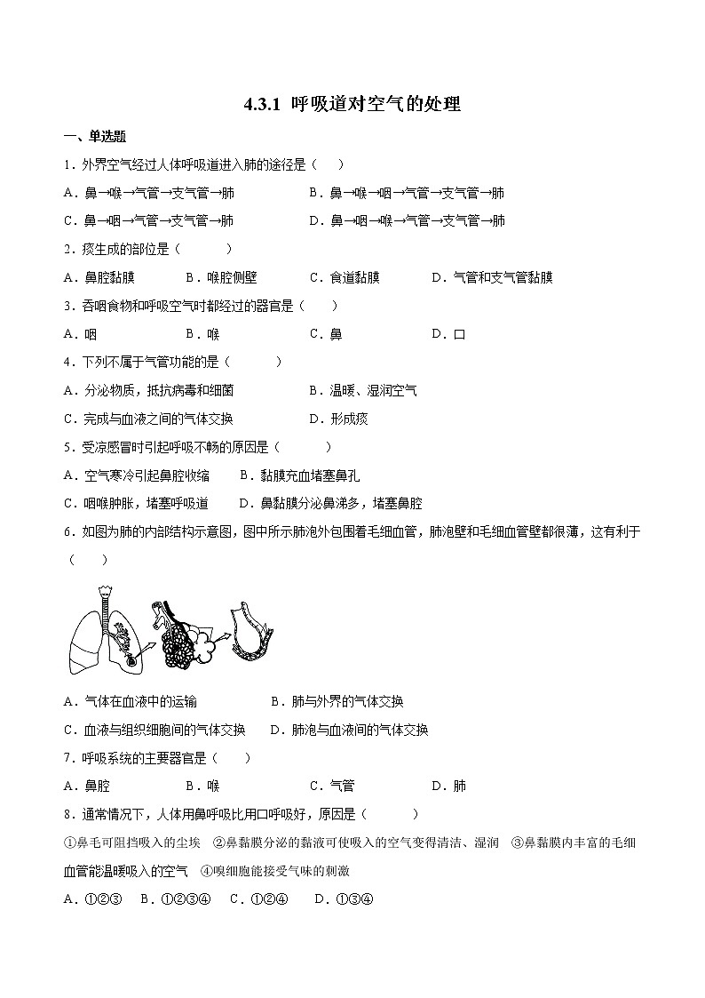 4.3.1 呼吸道对空气的处理（精编课件+练习）精编七年级生物下册同步备课系列（人教版）01