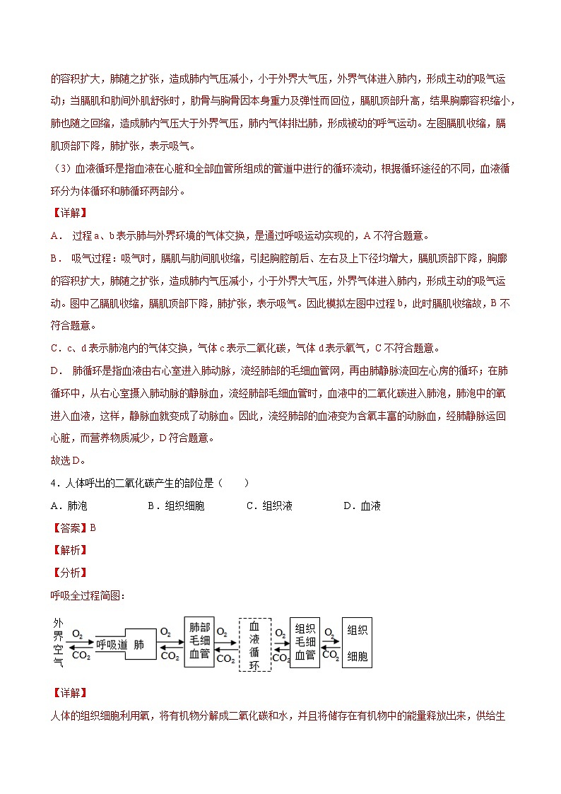 4.3.2 发生在肺内的气体交换（备作业）精编七年级生物上册同步备课系列（人教版）（解析版）第3页