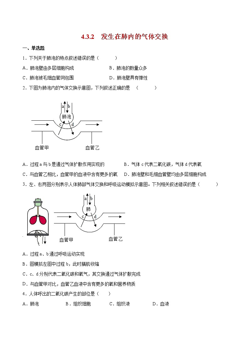4.3.2 发生在肺内的气体交换（备作业）精编七年级生物上册同步备课系列（人教版）（原卷版）第1页