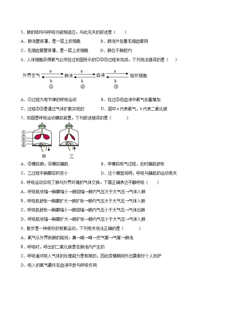 4.3.2 发生在肺内的气体交换（备作业）精编七年级生物上册同步备课系列（人教版）（原卷版）第2页