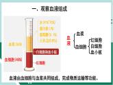 4.4.1 流动的组织—血液（精编课件+练习）精编七年级生物下册同步备课系列（人教版）