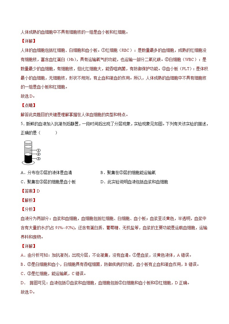 4.4.1 流动的组织—血液（精编课件+练习）精编七年级生物下册同步备课系列（人教版）03