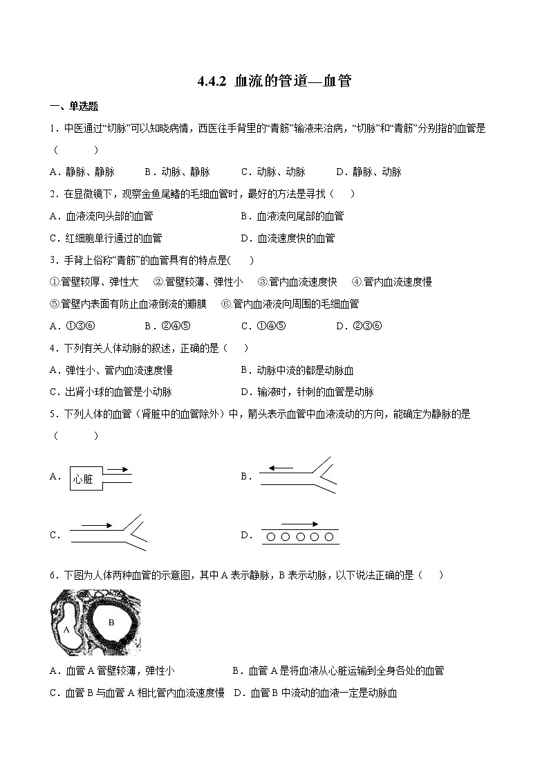 4.4.2 血流的管道—血管（备作业）精编七年级生物下册同步备课系列（人教版）（原卷版）第1页