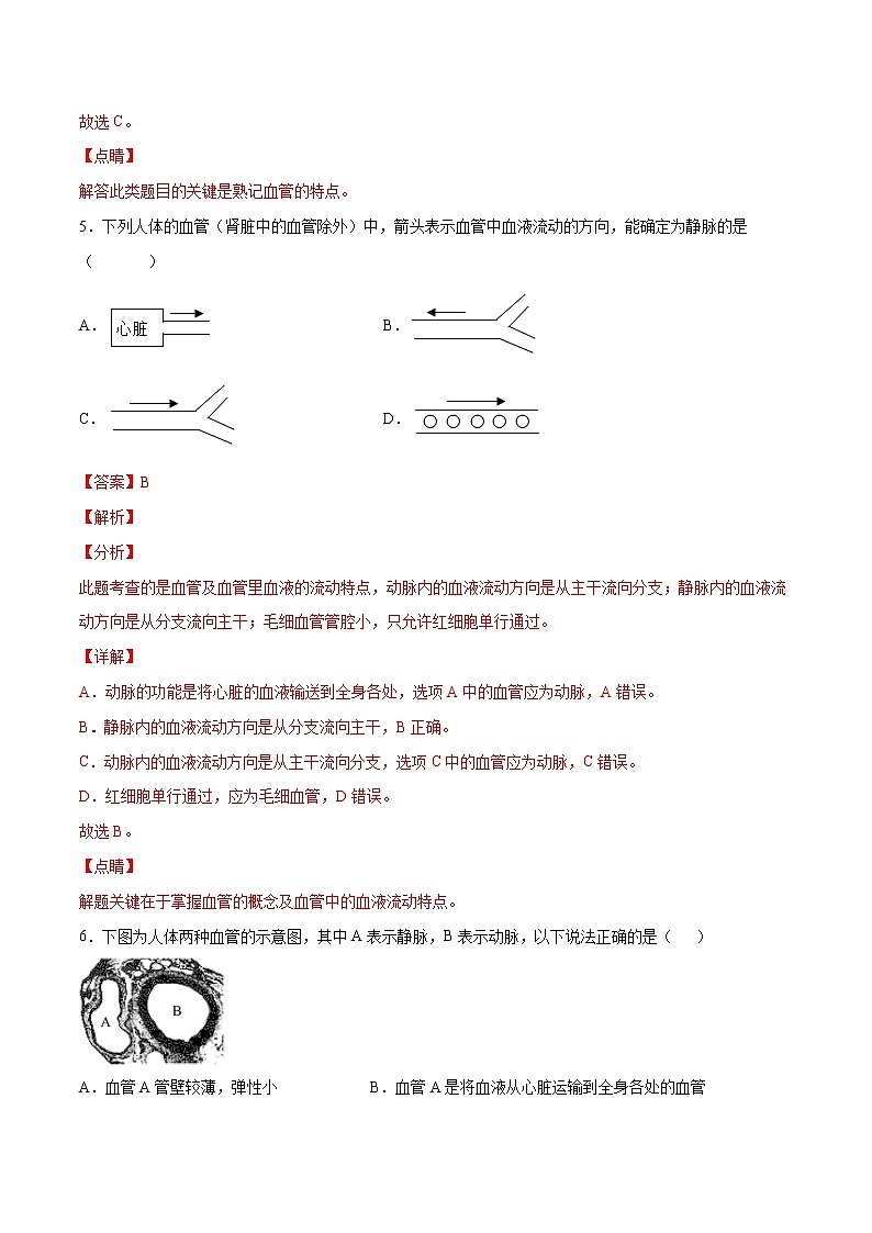 4.4.2 血流的管道—血管（备作业）精编七年级生物下册同步备课系列（人教版）（解析版）第3页
