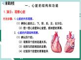 4.4.3 输送血液的泵—心脏（精编课件+练习）精编七年级生物下册同步备课系列（人教版）