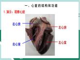 4.4.3 输送血液的泵—心脏（精编课件+练习）精编七年级生物下册同步备课系列（人教版）