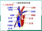 4.4.3 输送血液的泵—心脏（精编课件+练习）精编七年级生物下册同步备课系列（人教版）