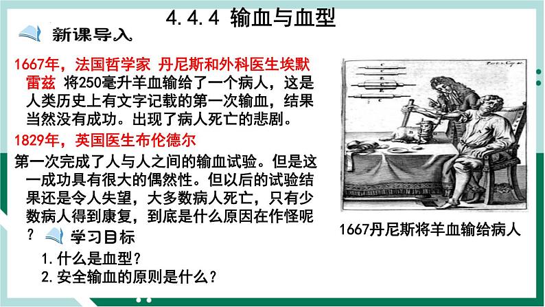 4.4.4 输血与血型（精编课件+练习）精编七年级生物下册同步备课系列（人教版）01