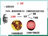 4.4.4 输血与血型（精编课件+练习）精编七年级生物下册同步备课系列（人教版）