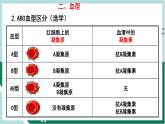 4.4.4 输血与血型（精编课件+练习）精编七年级生物下册同步备课系列（人教版）