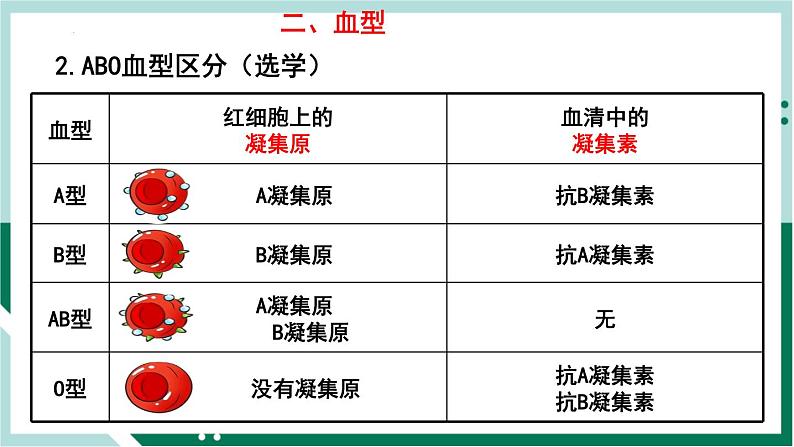 4.4.4 输血与血型（精编课件+练习）精编七年级生物下册同步备课系列（人教版）05