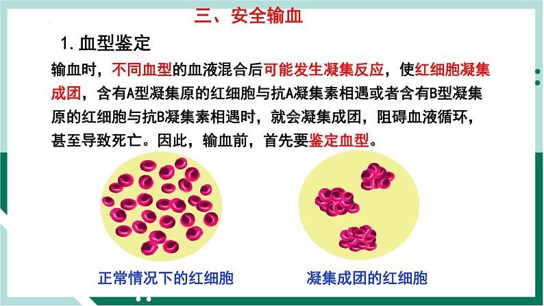 4.4.4 输血与血型（精编课件+练习）精编七年级生物下册同步备课系列（人教版）07