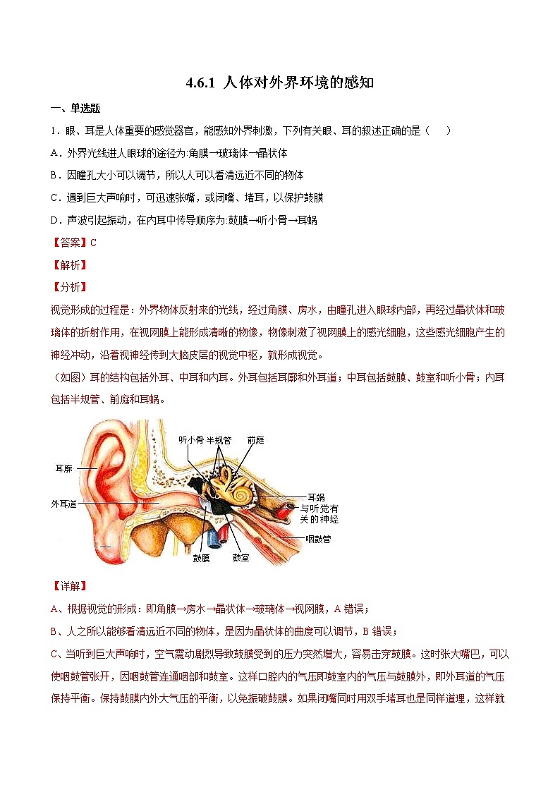 4.6.1 人体对外界环境的感知（精编课件+练习）精编七年级生物下册同步备课系列（人教版）01