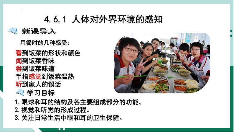 4.6.1 人体对外界环境的感知（精编课件+练习）精编七年级生物下册同步备课系列（人教版）01