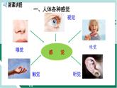 4.6.1 人体对外界环境的感知（精编课件+练习）精编七年级生物下册同步备课系列（人教版）