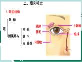 4.6.1 人体对外界环境的感知（精编课件+练习）精编七年级生物下册同步备课系列（人教版）