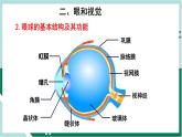 4.6.1 人体对外界环境的感知（精编课件+练习）精编七年级生物下册同步备课系列（人教版）