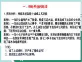 4.6.2 神经系统的组成（精编课件+练习）精编七年级生物下册同步备课系列（人教版）