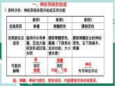 4.6.2 神经系统的组成（精编课件+练习）精编七年级生物下册同步备课系列（人教版）