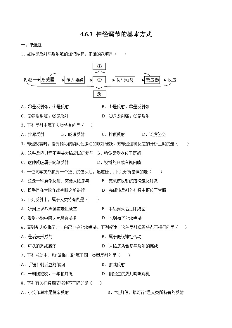 4.6.3 神经调节的基本方式（精编课件+练习）精编七年级生物下册同步备课系列（人教版）01