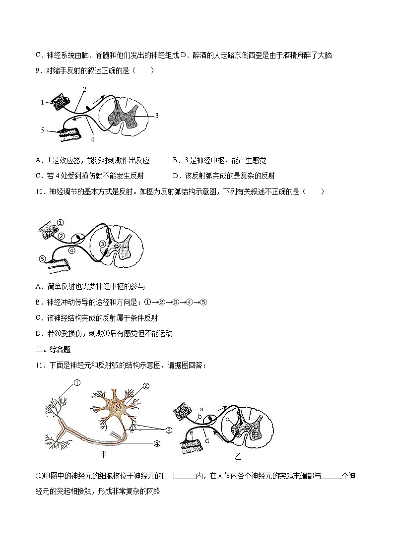 4.6.3 神经调节的基本方式（精编课件+练习）精编七年级生物下册同步备课系列（人教版）02