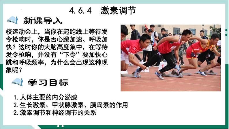 4.6.4 激素调节（备课件）精编七年级生物下册同步备课系列（人教版）第1页