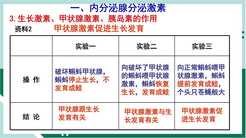 4.6.4 激素调节（备课件）精编七年级生物下册同步备课系列（人教版）第5页