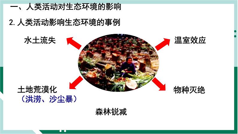 4.7 人类活动对生物圈的影响（精编课件+练习）精编七年级生物下册同步备课系列（人教版）06