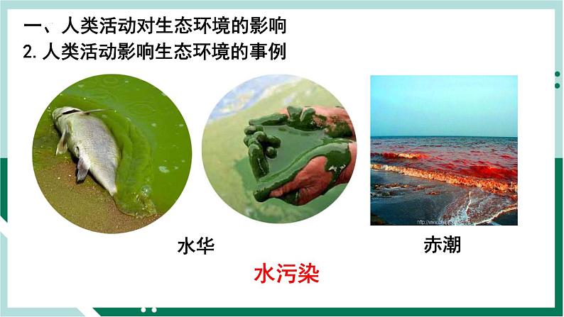 4.7 人类活动对生物圈的影响（精编课件+练习）精编七年级生物下册同步备课系列（人教版）07