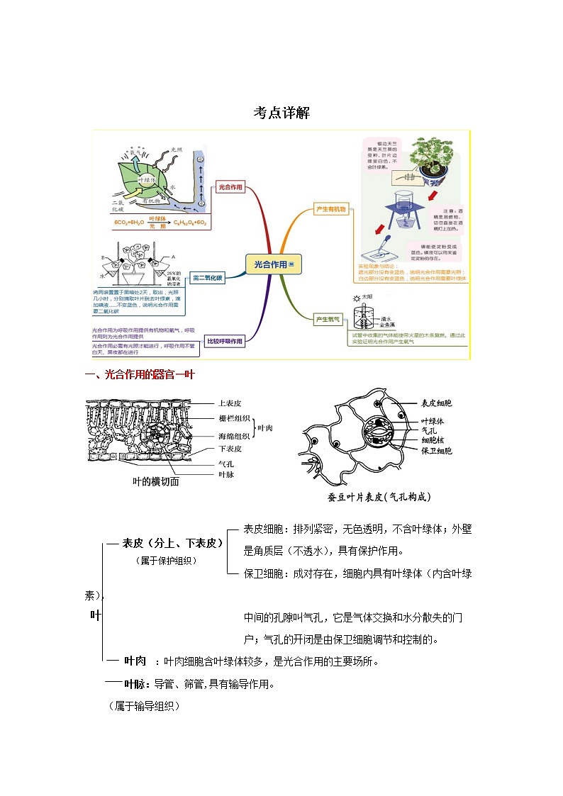 备战2023生物新中考二轮复习重难突破（河北专用）重难点06 植物的光合作用及相关探究实验 试卷01