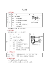 备战2023生物新中考二轮复习重难突破（河北专用）重难点08 植物的生殖发育