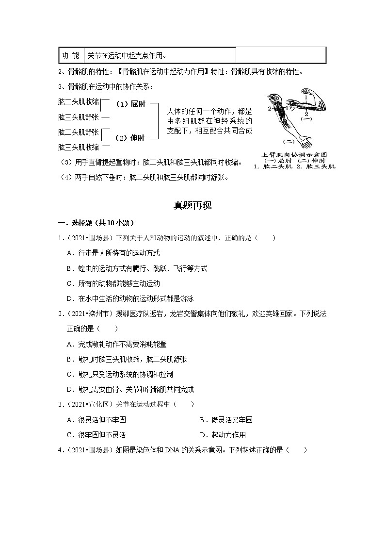 备战2023生物新中考二轮复习重难突破（河北专用）重难点12 人类的生殖发育及运动 试卷02