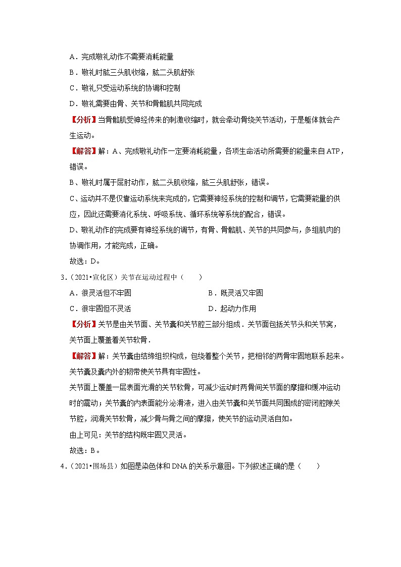 备战2023生物新中考二轮复习重难突破（河北专用）重难点12 人类的生殖发育及运动 试卷03