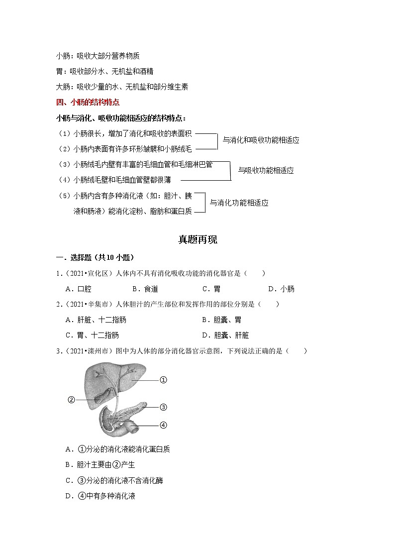 备战2023生物新中考二轮复习重难突破（河北专用）重难点14 食物的消化与吸收 试卷02