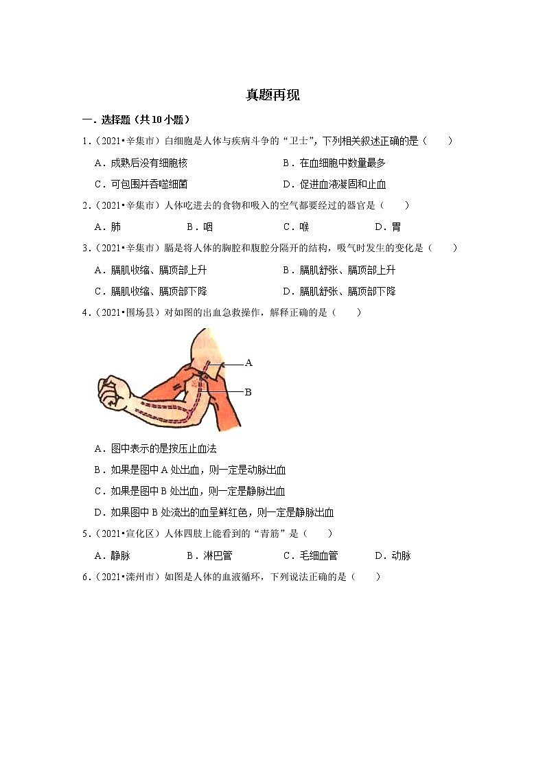 备战2023生物新中考二轮复习重难突破（河北专用）重难点16 体内物质的运输（原卷版）第3页