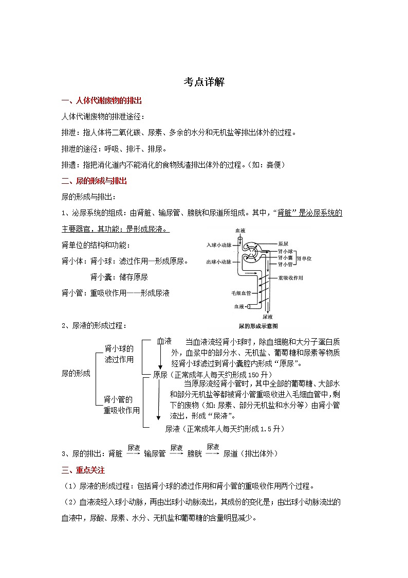 备战2023生物新中考二轮复习重难突破（河北专用）重难点17 体内物质的动态平衡 试卷01