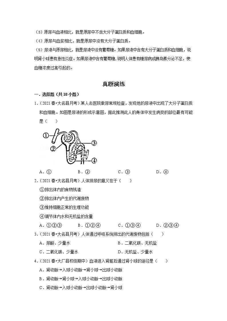 备战2023生物新中考二轮复习重难突破（河北专用）重难点17 体内物质的动态平衡 试卷02