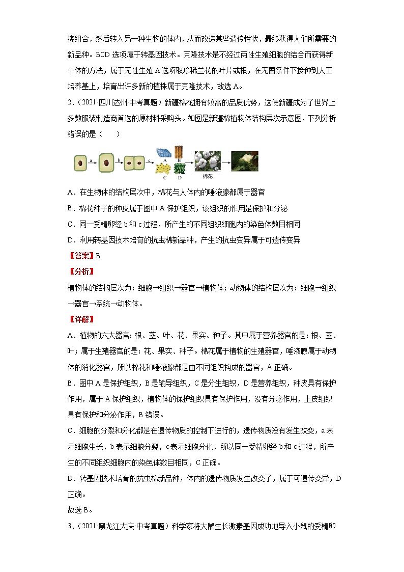 备战2023年生物新中考二轮复习热点透析（全国通用）核心考点04现代生物技术的发展（解析版）第2页