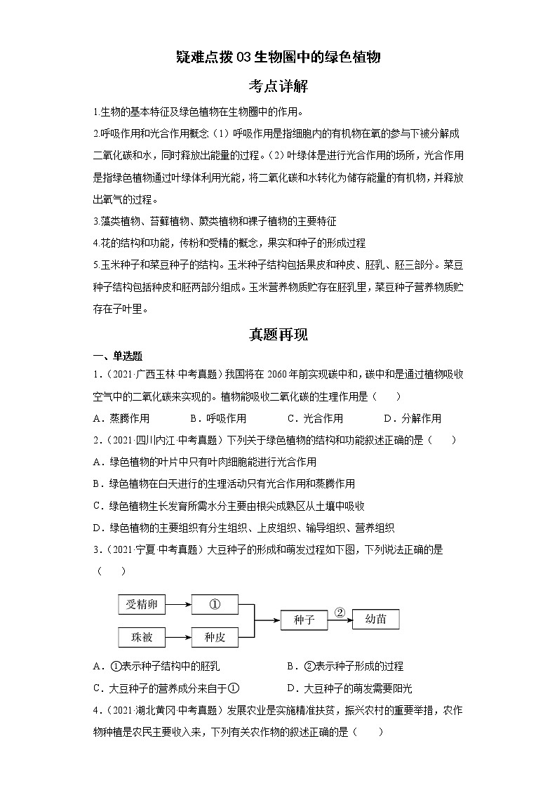 备战2023年生物新中考二轮复习热点透析（全国通用）疑难点拨03生物圈中的绿色植物（原卷版）第1页