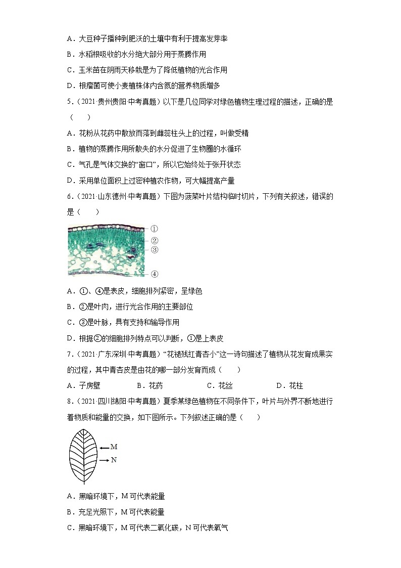 备战2023年生物新中考二轮复习热点透析（全国通用）疑难点拨03生物圈中的绿色植物（原卷版）第2页