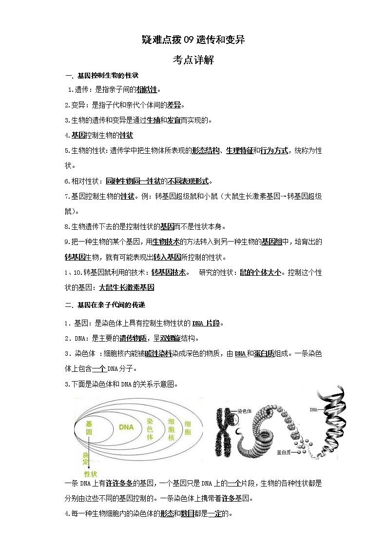 备战2023年生物新中考二轮复习热点透析（全国通用）疑难点拨09遗传和变异（原卷版）第1页