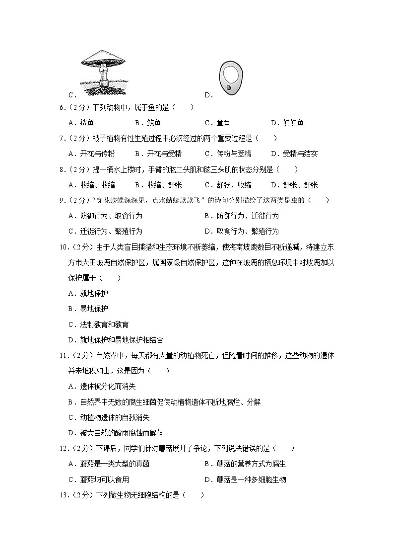 【开学闯关】2023年春人教版生物八年级下册开学测试卷（一）02