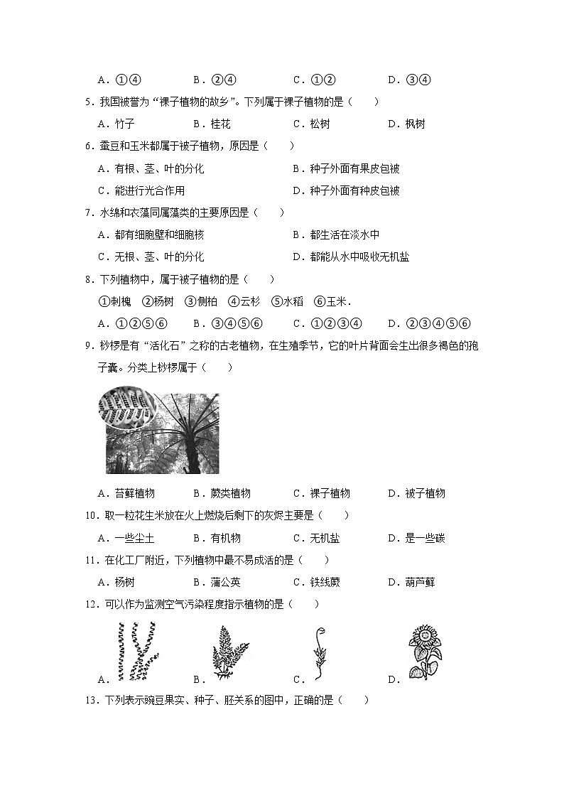 2023年春鲁科版（五四制）六下生物 第1章生物圈中有哪些绿色植物 单元测试202