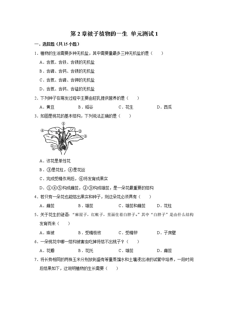 2023年春鲁科版（五四制）六下生物 第2章被子植物的一生 单元测试101