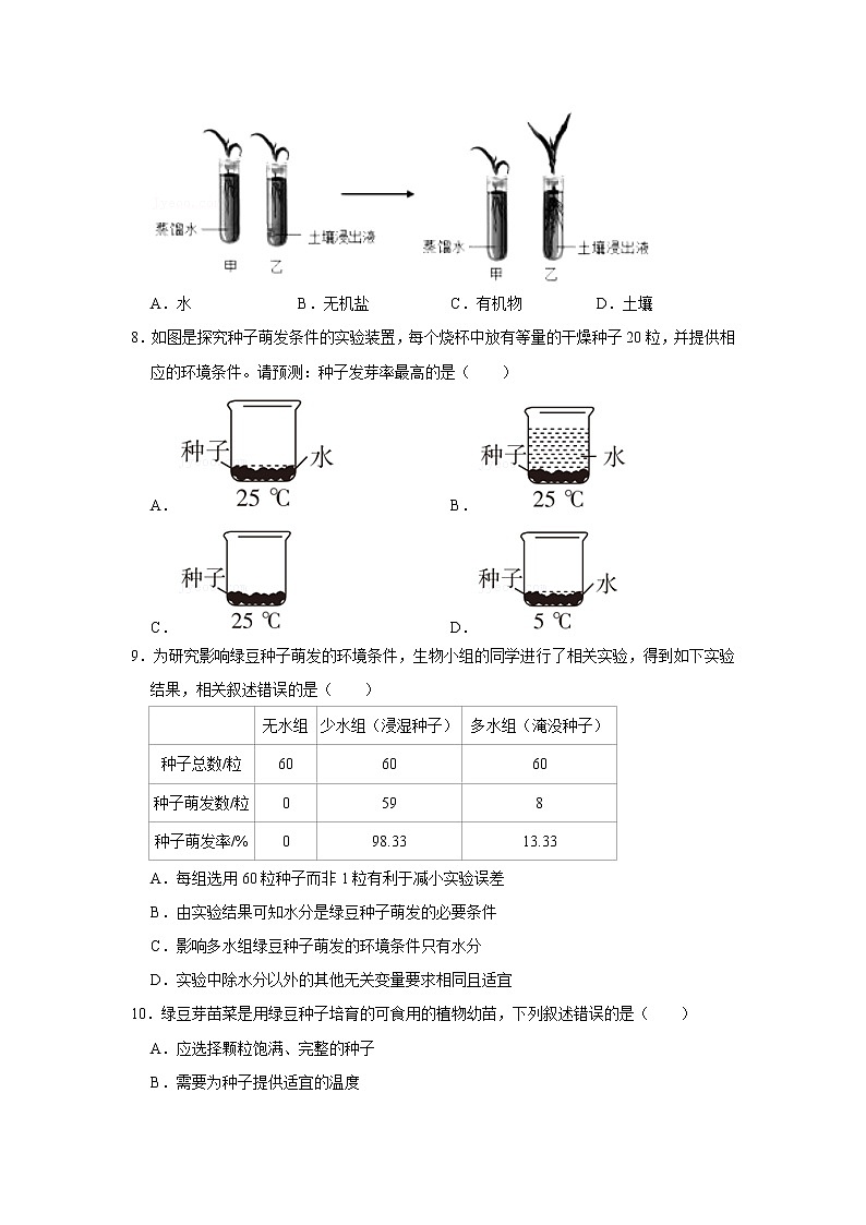 2023年春鲁科版（五四制）六下生物 第2章被子植物的一生 单元测试102